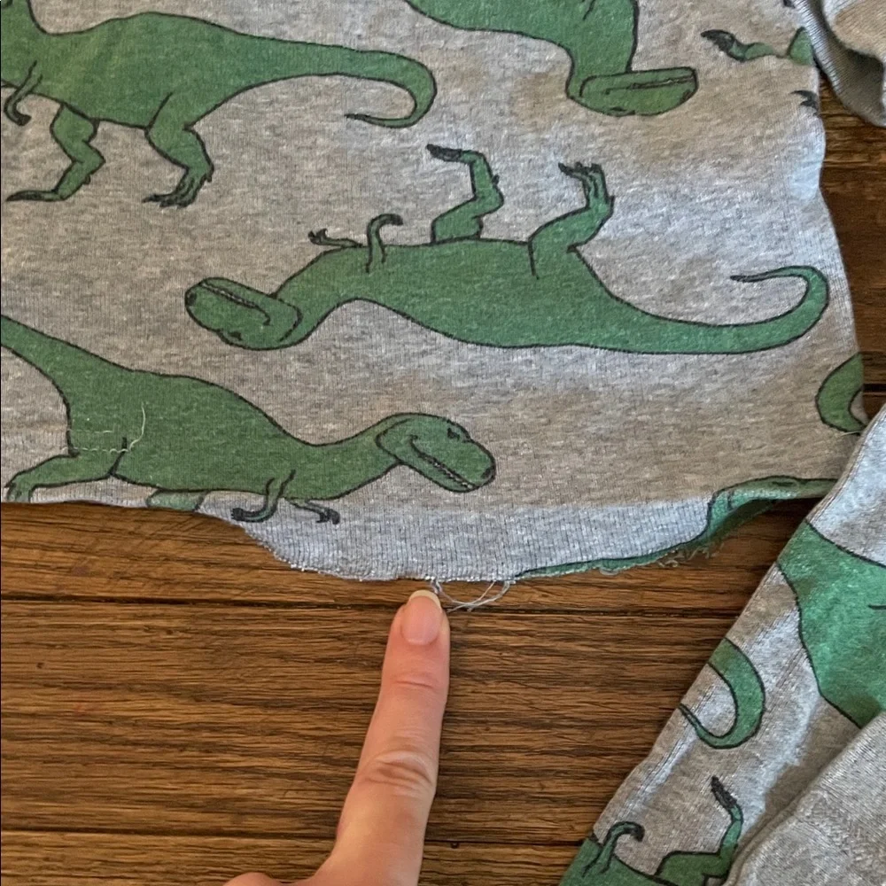 Hanna Andersson Green Dinosaur Pajama Set